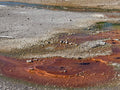 Rust and Runoff — Coming soon